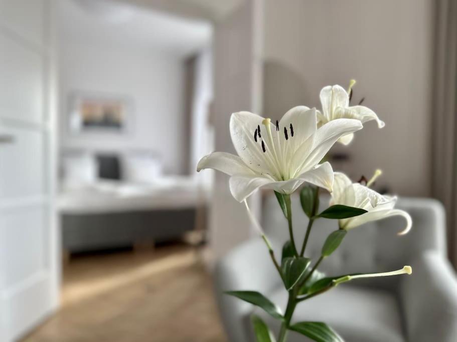 Premium Apartment By Hi - Central 2 Bedroom - Best View Будапеща Екстериор снимка
